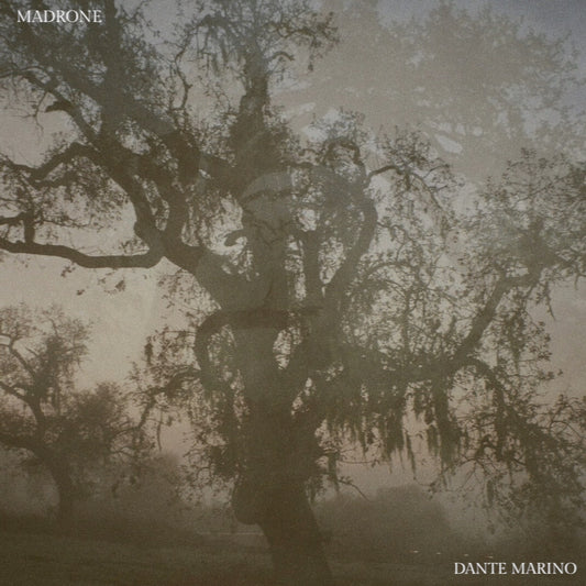 Madrone EP SIGNED CD
